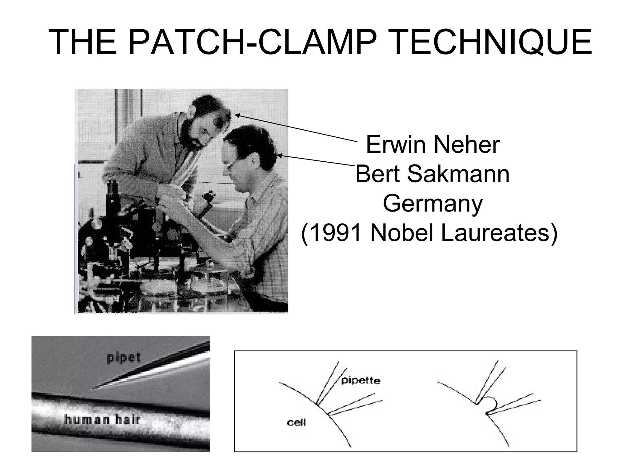 THE PATCH-CLAMP TECHNIQUE
Erwin Neher
Bert Sakmann
Germany
(1991 Nobel Laureates)
5
 
