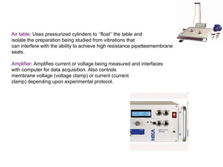 Patch clamp recording | PPT