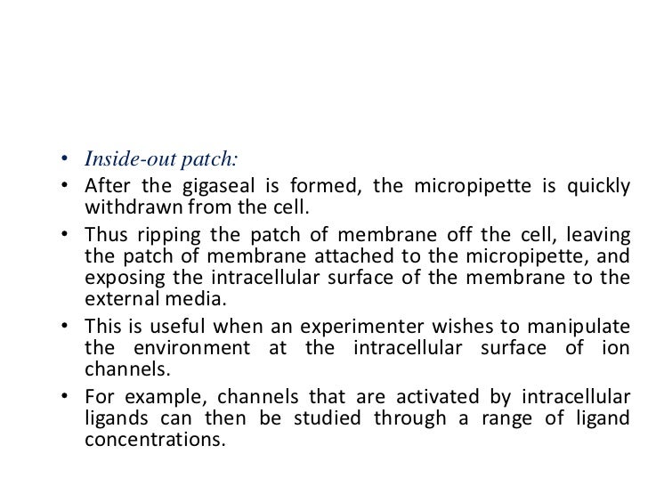 Patch clamp technique
