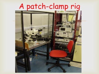A patch-clamp rig
       
 