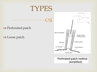 TYPES
                     
 Perforated patch

 Loose patch




                         DPerforated-patch method
                                   (simplified)ASF
 