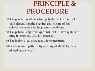 PRINCIPLE &
                PROCEDURE
                              
 The generation of an action potential in heart muscle
  cells depends on the opening and closing of ion-
  selective channels in the plasma membrane.
 The patch-clamp technique enables the investigation of
  drug interactions with ion-channel .
 The Isolated cells are ready for experiment.
 Glass micro-pipette - a tip opening of about 1 μm, is
  placed onto the cell.
 