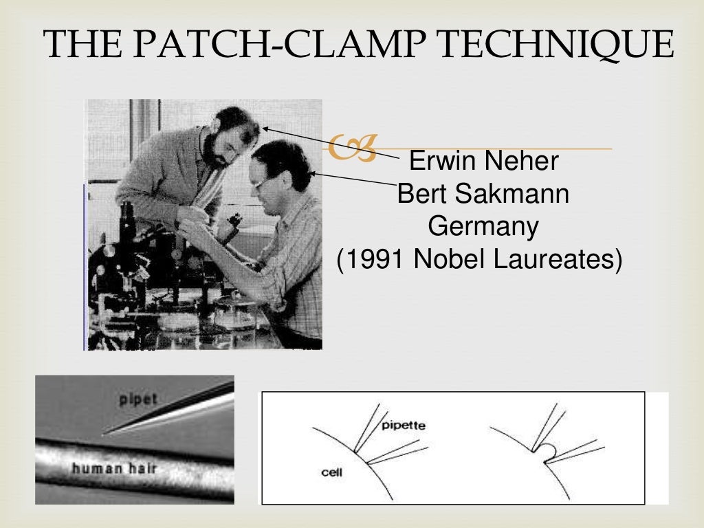 Patch clamp technique