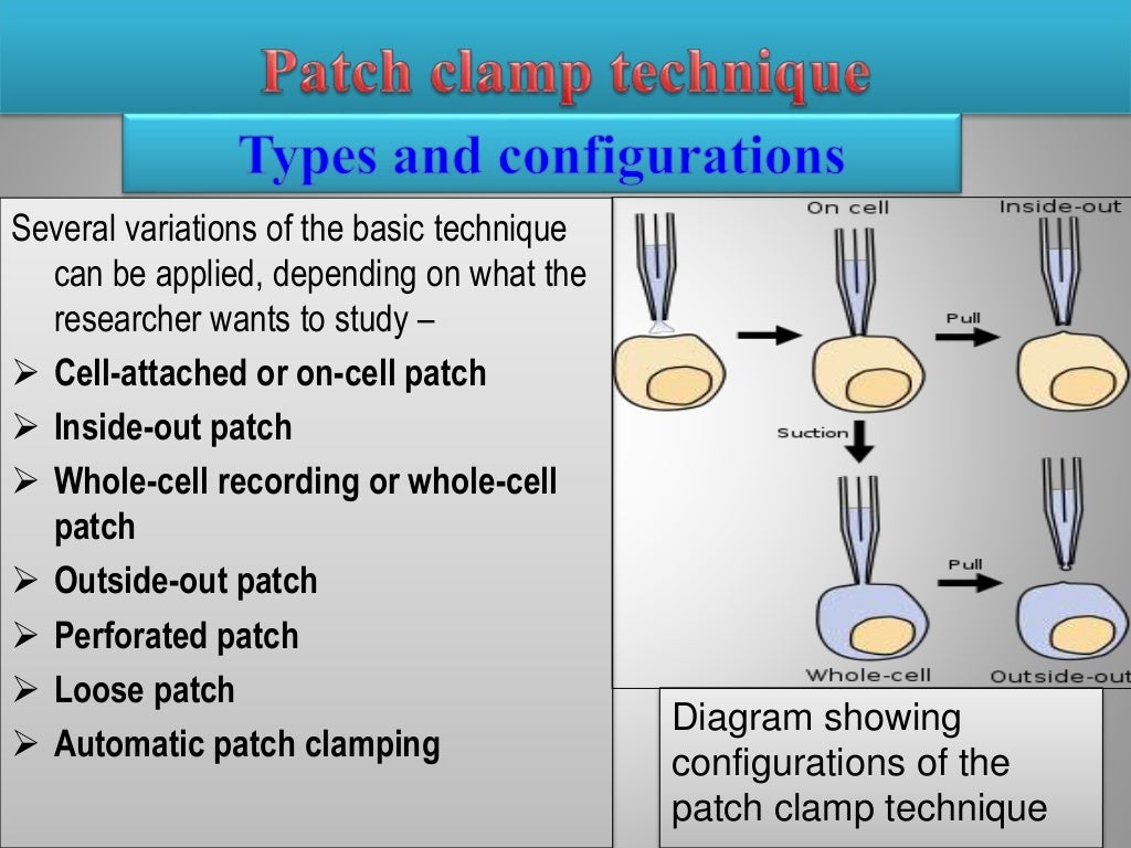 Patch clamp technique principle