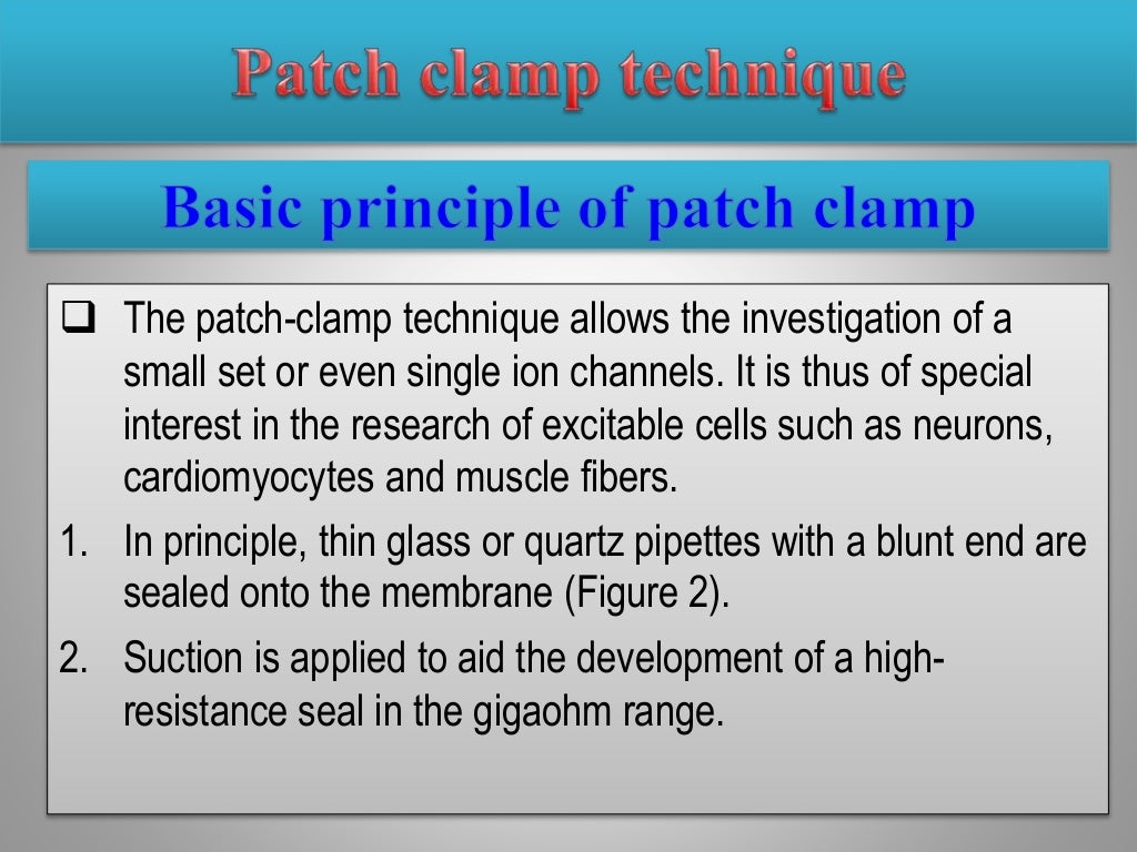 Patch clamp technique principle