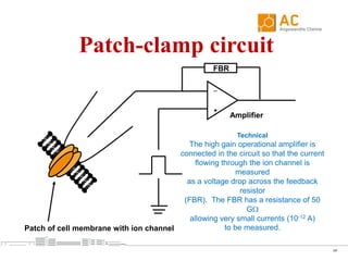 Patch Clamp Technique By Aqif Siddique | PPTX