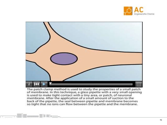 Patch clamp technique pdf
