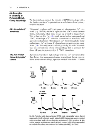 78 H. Ishibashi et al.
We illustrate here some of the benefits of PPWC recordings with a
few brief examples of responses from acutely isolated and primary
cultured neurons.
Dialysis of cytoplasm and/or the presence of exogenous Ca2+
che-
lators (e.g., EGTA) results in a gradual loss of Ca2+
from internal
stores, particularly when these stores are evoked to release Ca2+
.
This is illustrated in Fig. 4.2, which shows both conventional and
PPWC recordings of K+
currents in response to repetitive bath
application of caffeine, which releases Ca2+
from intracellular stores
and activates Ca2+
-activated K+
channels on the cytoplasmic mem-
brane (29). The response to caffeine gradually decreases in ampli-
tude on conventional whole-cell recordings but is constant for
about ³1 h on the amphotericin B PPWC recordings.
A peculiar property of high-voltage-activated Ca2+
currents is that
they show a time-dependent decrease in amplitude during conven-
tional whole-cell recordings, a process termed “run-down.” Various
4.4. Examples
of the Utility of
Perforated Patch-
Clamp Recordings
4.4.1. Intracellular Ca2+
Homeostasis
4.4.2. Run-Down of
Voltage-Activated Ca2+
Currents
Fig. 4.2. Perforated patch-clamp whole-cell (PPWC) mode maintains Ca2+
stores. Current
responses to 10 mM caffeine in acutely isolated rat CA1 hippocampal neurons recorded
under conventional whole-cell recordings (a) or amphotericin B PPWC recordings (b) Note
that the response amplitude runs down in (a) but is constant in (b). Caffeine was applied
each ~5 min. Recordings were performed at a holding potential (VH
) of −50 mV.
 