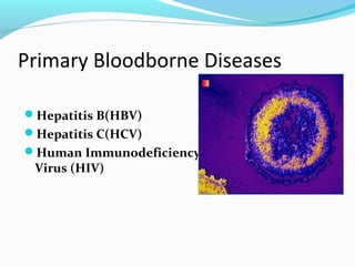 Primary Bloodborne Diseases
Hepatitis B(HBV)
Hepatitis C(HCV)
Human Immunodeficiency
Virus (HIV)
 