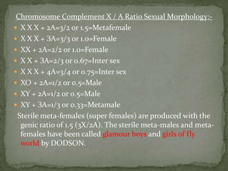Chromosome Complement X / A Ratio Sexual Morphology:-
 X X X + 2A=3/2 or 1.5=Metafemale
 X X X + ЗА=3/3 or 1.0=Female
 XX + 2A=2/2 or 1.0=Female
 X X + ЗА=2/3 or 0.67=Inter sex
 X X X + 4A=3/4 or 0.75=Inter sex
 XO + 2A=1/2 or 0.5=Male
 XY + 2A=1/2 or 0.5=Male
 XY + ЗА=1/3 or 0.33=Metamale
Sterile meta-females (super females) are produced with the
genic ratio of 1.5 (3X/2A). The sterile meta-males and meta-
females have been called glamour boys and girls of fly
world by DODSON.
 