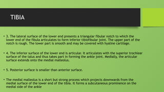 OSTEOLOGY OF PATELLA AND TIBIA ANATOMY.pptx