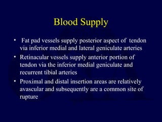 Blood Supply
• Fat pad vessels supply posterior aspect of tendon
via inferior medial and lateral geniculate arteries
• Retinacular vessels supply anterior portion of
tendon via the inferior medial geniculate and
recurrent tibial arteries
• Proximal and distal insertion areas are relatively
avascular and subsequently are a common site of
rupture
 