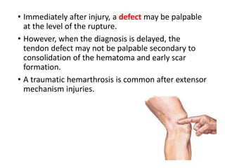 • Immediately after injury, a defect may be palpable
at the level of the rupture.
• However, when the diagnosis is delayed, the
tendon defect may not be palpable secondary to
consolidation of the hematoma and early scar
formation.
• A traumatic hemarthrosis is common after extensor
mechanism injuries.
 