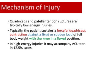 Mechanism of Injury
• Quadriceps and patellar tendon ruptures are
typically low-energy injuries.
• Typically, the patient sustains a forceful quadriceps
contraction against a fixed or sudden load of full
body weight with the knee in a flexed position.
• In high-energy injuries it may accompany ACL tear
in 12.5% cases.
 