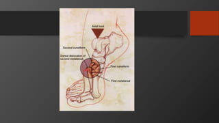 Patella, tibia, foot and ankle injuries