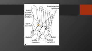 Patella, tibia, foot and ankle injuries