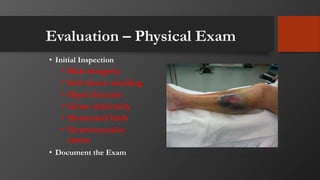 Evaluation – Physical Exam
• Initial Inspection
• Skin integrity
• Soft tissue swelling
• Open fracture
• Gross deformity
• Shortened limb
• Neurovascular
status
• Document the Exam
 