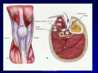 11/3/2014 39Professor Freih Abuhassan-
University of Jordan
 