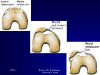 11/3/2014 46Professor Freih Abuhassan-
University of Jordan
 