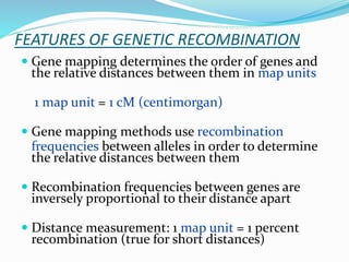 FEATURES OF GENETIC RECOMBINATION
 Gene mapping determines the order of genes and
the relative distances between them in map units
1 map unit = 1 cM (centimorgan)
 Gene mapping methods use recombination
frequencies between alleles in order to determine
the relative distances between them
 Recombination frequencies between genes are
inversely proportional to their distance apart
 Distance measurement: 1 map unit = 1 percent
recombination (true for short distances)
 