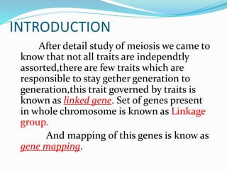 INTRODUCTION
After detail study of meiosis we came to
know that not all traits are independtly
assorted,there are few traits which are
responsible to stay gether generation to
generation,this trait governed by traits is
known as linked gene. Set of genes present
in whole chromosome is known as Linkage
group.
And mapping of this genes is know as
gene mapping.
 