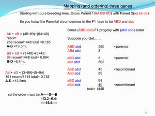23
Cross (ABD abd) F1 progeny with (abd abd) tester
Suppose you Get……
ABD abd 580 <parental
ABd abd 3
abD abd 5 <parental
abd abd 592
AbD abd 45 <recombinant
Abd abd 89
aBD abd 94
aBd abd 40 <recombinant
total= 1448
Mapping (and ordering) three genes
Starting with pure breeding lines, Cross Parent 1(AA BB DD) with Parent 2(aa bb dd)
So you know the Parental chromosomes in the F1 have to be ABD and abc
Ab + aB = (45+89)+(94+40)
recom
268 recom/1448 total =0.185
A-B =18.5mu
Bd + bD = (3+40)+(5+45)
93 recom/1448 total= 0.064
B-D =6.4mu
Ad + aD = (3+89)+(5+94)
191 recom/1448 total= 0.132
A-D =13.2mu
so the order must be A-----D---B
-13.2--6.4-
----18.5----
 