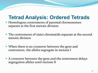 34
Tetrad Analysis: Ordered Tetrads
 Homologous centromeres of parental chromosomes
separate at the first meiotic division
 The centromeres of sister chromatids separate at the second
meiotic division
 When there is no crossover between the gene and
centromere, the alleles segregate in meiosis I
 A crossover between the gene and the centromere delays
segregation alleles until meiosis II
 