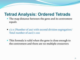 35
Tetrad Analysis: Ordered Tetrads
 The map distance between the gene and its centromere
equals
 1/2 x (Number of asci with second division segregation/
Total number of asci) x 100
 This formula is valid when the gene is close enough to
the centromere and there are no multiple crossovers
 