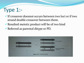 Type 1:-
If crossover doesnot occurs between two loci or if two
strand double crossover between them.
Resulted meiotic product will be of two kind
Referred as parental ditype or PD.
 
