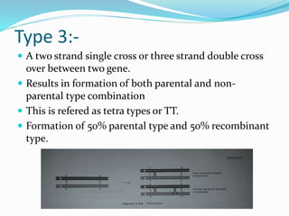 Type 3:-
 A two strand single cross or three strand double cross
over between two gene.
 Results in formation of both parental and non-
parental type combination
 This is refered as tetra types or TT.
 Formation of 50% parental type and 50% recombinant
type.
 