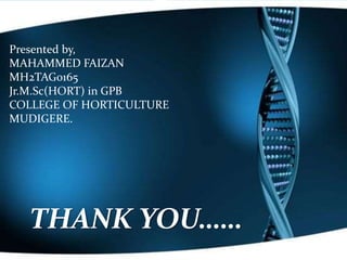 THANK YOU……
Presented by,
MAHAMMED FAIZAN
MH2TAG0165
Jr.M.Sc(HORT) in GPB
COLLEGE OF HORTICULTURE
MUDIGERE.
 