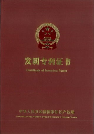 Patent china