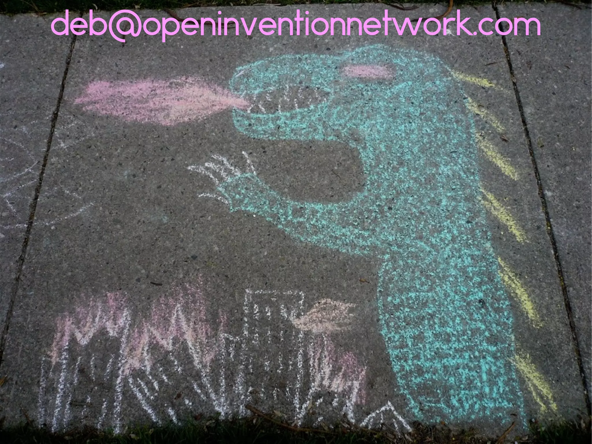 deb@openinventionnetwork.com
 