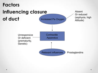 Factors 
Influencing closure 
of duct 
Increased Pa Oxygen 
Contractile 
Apparatus 
Absent 
Or reduced 
(asphyxia, high 
Altitude) 
Relaxant influences Prostaglandins 
Unresponsive 
Or deficient 
(prematurity, 
Genetic) 
 