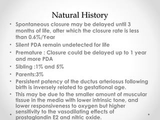 NNaattuurraall HHiissttoorryy 
• Spontaneous closure may be delayed until 3 
months of life, after which the closure rate is less 
than 0.6%/Year 
• Silent PDA remain undetected for life 
• Premature : Closure could be delayed up to 1 year 
and more PDA 
• Sibling :1% and 5% 
• Parents:3% 
• Persistent patency of the ductus arteriosus following 
birth is inversely related to gestational age. 
• This may be due to the smaller amount of muscular 
tissue in the media with lower intrinsic tone, and 
lower responsiveness to oxygen but higher 
sensitivity to the vasodilating effects of 
prostaglandin E2 and nitric oxide. 
 