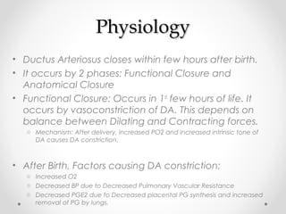 PPhhyyssiioollooggyy 
• Ductus Arteriosus closes within few hours after birth. 
• It occurs by 2 phases: Functional Closure and 
Anatomical Closure 
• Functional Closure: Occurs in 1st few hours of life. It 
occurs by vasoconstriction of DA. This depends on 
balance between Dilating and Contracting forces. 
o Mechanism: After delivery, increased PO2 and increased intrinsic tone of 
DA causes DA constriction. 
• After Birth, Factors causing DA constriction: 
o Increased O2 
o Decreased BP due to Decreased Pulmonary Vascular Resistance 
o Decreased PGE2 due to Decreased placental PG synthesis and increased 
removal of PG by lungs. 
 