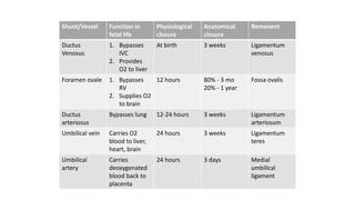 Shunt/Vessel Function in
fetal life
Physiological
closure
Anatomical
closure
Remanent
Ductus
Venosus
1. Bypasses
IVC
2. Provides
O2 to liver
At birth 3 weeks Ligamentum
venosus
Foramen ovale 1. Bypasses
RV
2. Supplies O2
to brain
12 hours 80% - 3 mo
20% - 1 year
Fossa ovalis
Ductus
arteriosus
Bypasses lung 12-24 hours 3 weeks Ligamentum
arteriosum
Umbilical vein Carries O2
blood to liver,
heart, brain
24 hours 3 weeks Ligamentum
teres
Umbilical
artery
Carries
deoxygenated
blood back to
placenta
24 hours 3 days Medial
umbilical
ligament
 