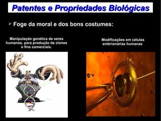 Patentes ee PPrroopprriieeddaaddeess BBiioollóóggiiccaass 
➢ Foge da moral e dos bons costumes: 
Manipulação genética de seres 
humanos, para produção de clones 
e fins comerciais. 
Modificações em células 
embrionárias humanas 
 