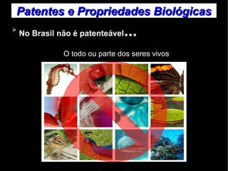 Patentes ee PPrroopprriieeddaaddeess BBiioollóóggiiccaass 
➢ No Brasil não é patenteável... 
O todo ou parte dos seres vivos 
 