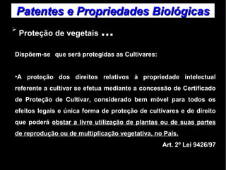 Patentes ee PPrroopprriieeddaaddeess BBiioollóóggiiccaass 
➢ Proteção de vegetais ... 
Dispõem-se que será protegidas as Cultivares: 
●A proteção dos direitos relativos à propriedade intelectual 
referente a cultivar se efetua mediante a concessão de Certificado 
de Proteção de Cultivar, considerado bem móvel para todos os 
efeitos legais e única forma de proteção de cultivares e de direito 
que poderá obstar a livre utilização de plantas ou de suas partes 
de reprodução ou de multiplicação vegetativa, no País. 
Art. 2º Lei 9426/97 
 