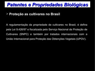 Patentes ee PPrroopprriieeddaaddeess BBiioollóóggiiccaass 
➢ Proteção as cultivares no Brasil 
A regulamentação da propriedade de cultivares no Brasil, é defina 
pela Lei 9.426/97 e fiscalizada pelo Serviço Nacional de Proteção de 
Cultivares (SNPC) e também por tratados internacionais com a 
União Internacional para Proteção das Obtenções Vegetais (UPOV). 
 
