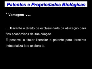 Patentes ee PPrroopprriieeddaaddeess BBiioollóóggiiccaass 
➢ Vantagem ... 
… Garante o direito de exclusividade da utilização para 
fins econômicos de sua criação. 
É possível o titular licenciar a patente para terceiros 
industrializá-la e explorá-la. 
 