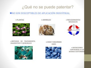 ¿Qué no se puede patentar?
NO SON SUSCEPTIBLES DE APLICACIÓN INDUSTRIAL
• PLANTAS • ANIMALES
• METODOS DE TRATAMIENTO,
DIAGNOSTICO Y QUIRURGICO
• USOS Y SEGUNDOS
USOS
• PROCEDIMIENTOS
BIOLÓGICOS
• INVENCIONES
CONTRARIAS A LAS
BUENAS COSTUMBRES
 