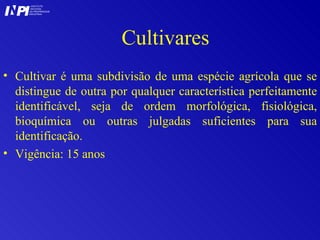 Cultivares Cultivar é uma subdivisão de uma espécie agrícola que se distingue de outra por qualquer característica perfeitamente identificável, seja de ordem morfológica, fisiológica, bioquímica ou outras julgadas suficientes para sua identificação. Vigência: 15 anos I I INSTITUTO NACIONAL DA PROPRIEDADE INDUSTRIAL P 