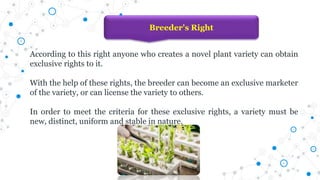 According to this right anyone who creates a novel plant variety can obtain
exclusive rights to it.
With the help of these rights, the breeder can become an exclusive marketer
of the variety, or can license the variety to others.
In order to meet the criteria for these exclusive rights, a variety must be
new, distinct, uniform and stable in nature.
Breeder's Right
 