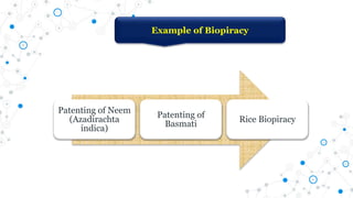 Example of Biopiracy
Patenting of Neem
(Azadirachta
indica)
Patenting of
Basmati
Rice Biopiracy
 