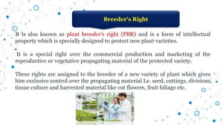 Breeder's Right
It is also known as plant breeder's right (PBR) and is a form of intellectual
property which is specially designed to protect new plant varieties.
It is a special right over the commercial production and marketing of the
reproductive or vegetative propagating material of the protected variety.
These rights are assigned to the breeder of a new variety of plant which gives
him exclusive control over the propagating material Le. seed, cuttings, divisions,
tissue culture and harvested material like cut flowers, fruit foliage etc.
 