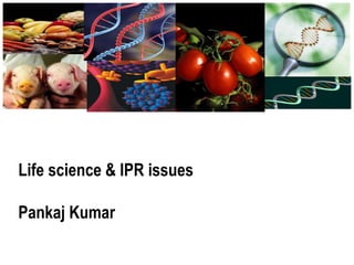 Life science & IPR issues
Pankaj Kumar
 