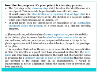 Invention for purposes of a plant patent is a two step process:
1. The first step is the discovery step which involves the identification of a
novel plant. This step could be performed in any cultivated area.
• It could involve the identification or recognition of an off type plant in a
monoculture of a known variety or the identification of a desirable mutant
which was either spontaneous or induced. Or,
• it could result from the identification or recognition of an outstanding
individual within the progeny of a cross made in a planned breeding
program.
2. The second step, which consists of asexual reproduction, tests the stability
of the claimed plant to assure that the plant's unique characteristics are not
due to disease, infection, or exposure to agents which cause a change in the
plant's appearance which is transitory and not due to a change in the genotype
of the plant.
• It is important that each of the above steps is satisfied before an application
is filed. The inventor of a plant must have discovered or identified the novel
plant, and must have asexually reproduced the plant and observed the clones
so produced for a sufficient amount of time to have concluded that the clones
are identical to the parent plant in all characteristics. It would be
inappropriate to file an application before the second step of invention had
been completed.
 