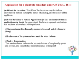 Application for a plant file considers under 35 U.S.C. 161 :
(b) Cross Reference to Related Applications (if any, unless included in an
application data sheet). the same plant filed when a parent application
has not been allowed to a sibling cultivar.
(a) Title of the Invention : The title of the invention may include an
introductory portion stating the name, citizenship, and residence of the
applicant.
(c)Statement regarding Federally-sponsored research and development
(if any).
(d)Latin name of the genus and species of the plant claimed.
(e)Variety denomination
This section should indicate the botanical name of the plant by genus
and species, and should state the market class of the plant
 